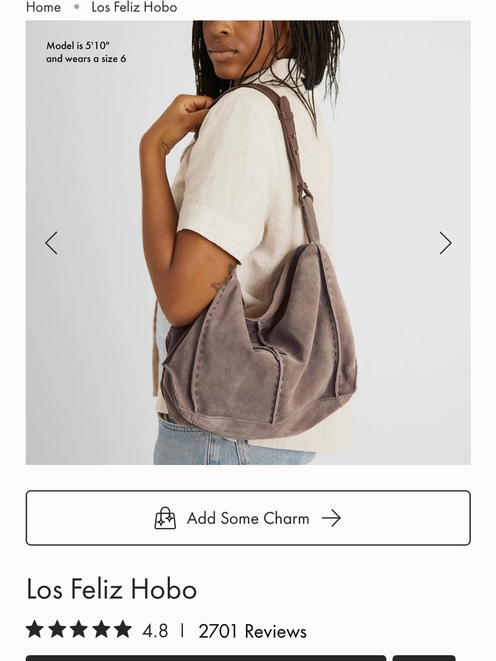 The Sak Los Feliz Hobo in Taupe Suede